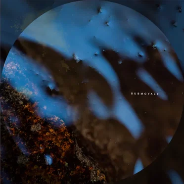 Polaristic by Submoyale - album cover