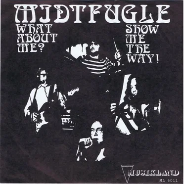 What about Me? by Midtfugle - album cover