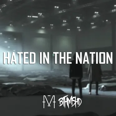 Hated in the Nation