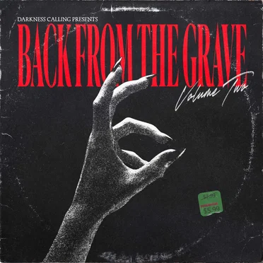Back From the Grave - Vol. 2 by Various Artists - album cover