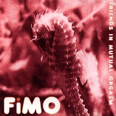 Friends In Mutual Orgasm by Fimo - album cover