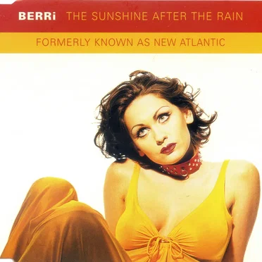The Sunshine After the Rain