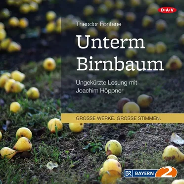 Unterm Birnbaum by Theodor Fontane - album cover