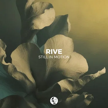 Still In Motion by Rive - album cover