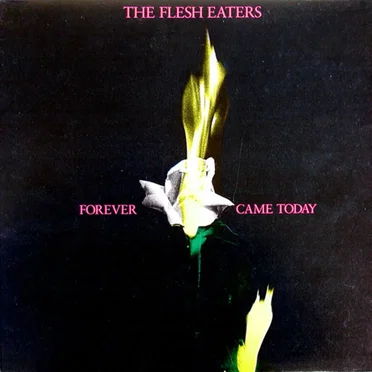 Forever Came Today by The Flesh Eaters - album cover