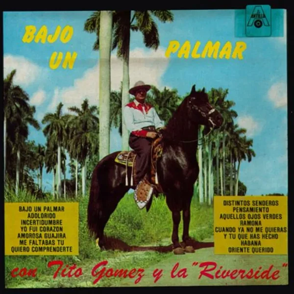 Bajo un palmar