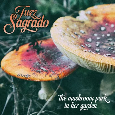 Fuzz Sagrado