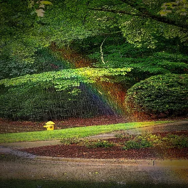 Music for Mental Health Four