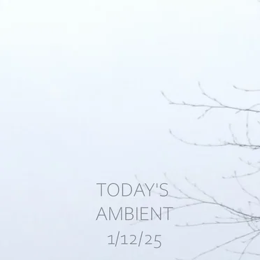 todays ambient 1/12/25