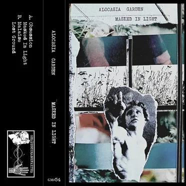 Masked In Light by Alocasia Garden - album cover