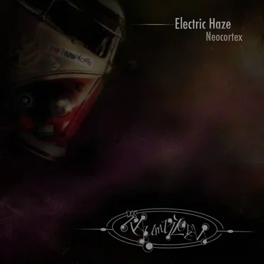 Electric Haze by Das Raumpiloten - album cover