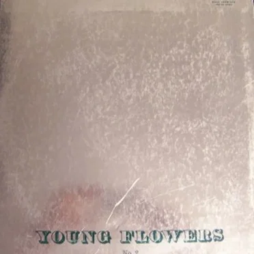 No. 2 by Young Flowers - album cover