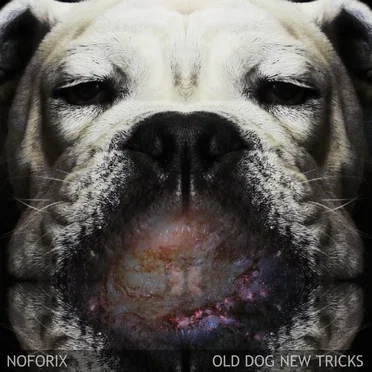 Old Dog New Tricks by Noforix - album cover