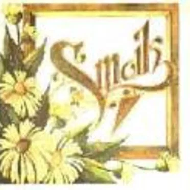 Satelit