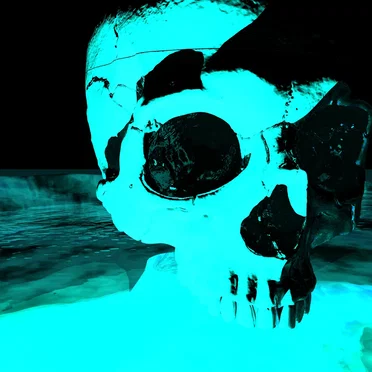 THE DROWNED TEMPLE AWAITS, DESCEND. DESCEND! by DWELLER OF THE FORSAKEN WATCHTOWER, ABANDON YOUR POST - album cover