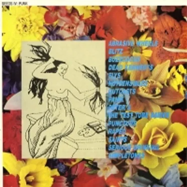 Seeds IV: Punk by Various Artists - album cover
