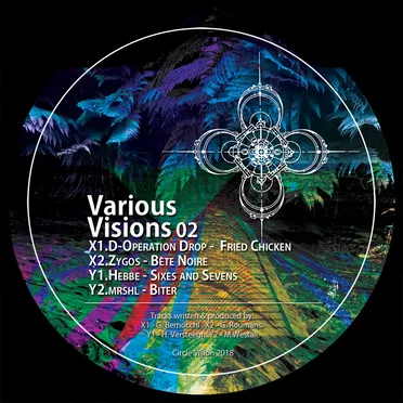 Various Visions 02 by Various Artists - album cover