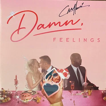 Damn, Feelings by Chayla Hope - album cover