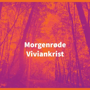 Morgenrøde