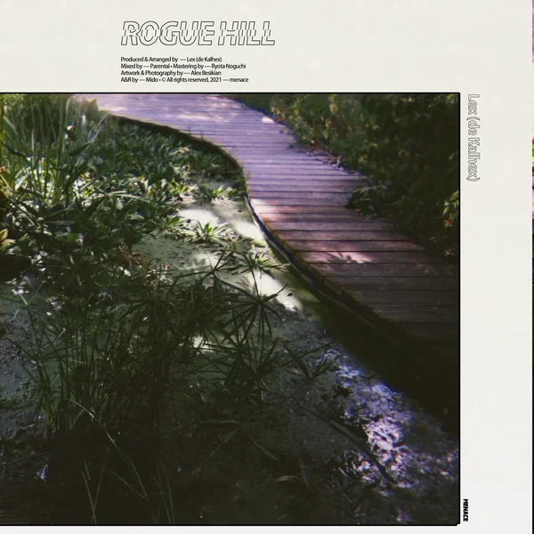 Rogue Hill