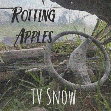 TV Snow