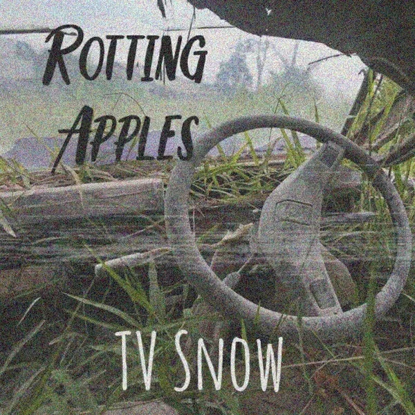 TV Snow