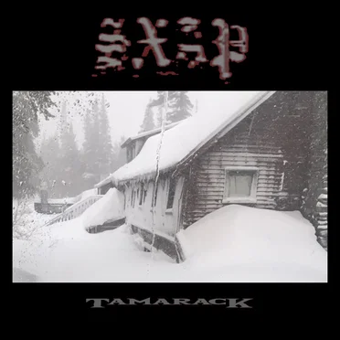 TamaracK