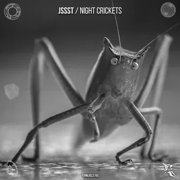 Night Crickets by Jssst - album cover