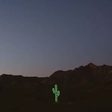 Open Skies (Wildflower)