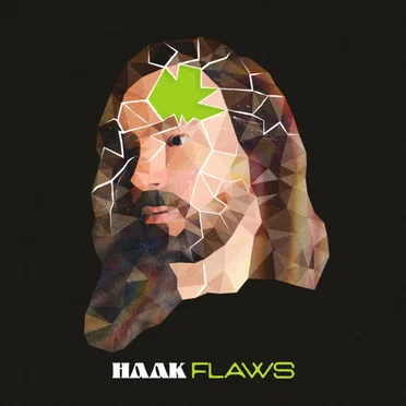 Flaws by haak - album cover