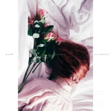 pink corpse aesthetic by nudes and cuts - album cover