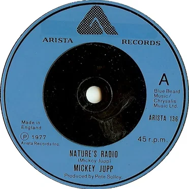 Nature's Radio