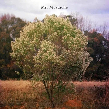 Broken-Hearted Dance by Mr. Mustache - album cover