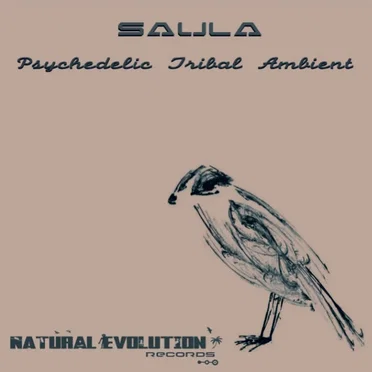 Psychedelic Tribal Ambient by Saula - album cover