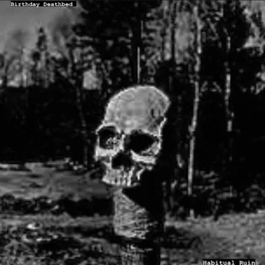 Habitual Ruin by Birthday Deathbed - album cover