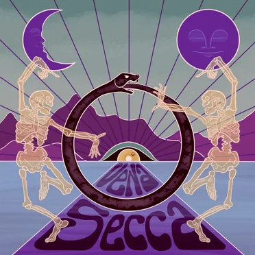 VENA SECCA by Tommy and the Teleboys - album cover