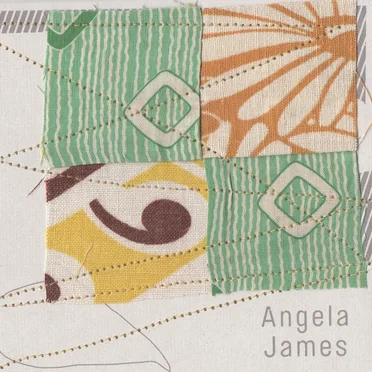 Down and Out by Angela James - album cover