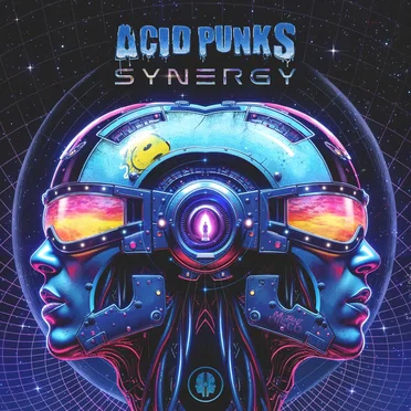 Synergy by Acid Punks - album cover