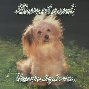 Scarbrohydrate by loveshovel - album cover