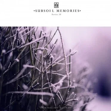 Subsoil Memories Series II by Various Artists - album cover