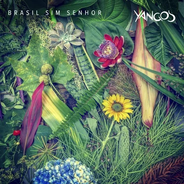 Brasil sim senhor by Yangos - album cover