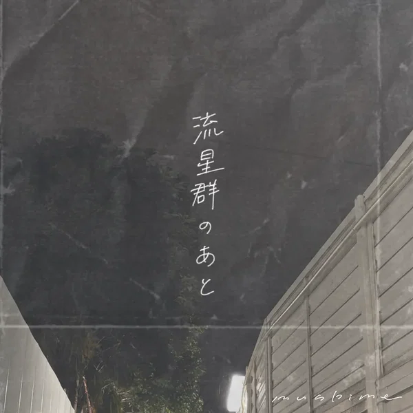 流星群のあと