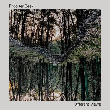 Different Views by Frido ter Beek - album cover
