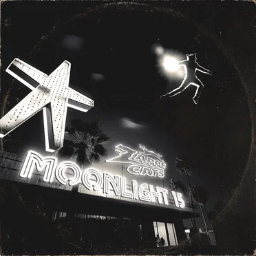 Moonlight 15