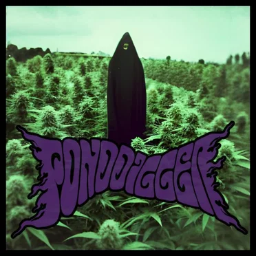 PondDigger by PondDigger - album cover