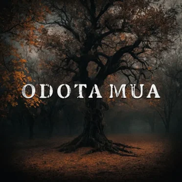 Odota mua