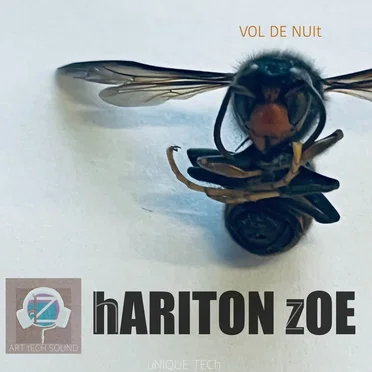 VOL DE NUIt (uNIQUE TECh) by hARITON zOE - album cover