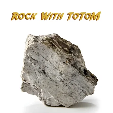 Rock with ToToM
