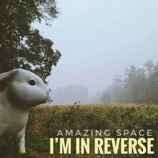 I'm in Reverse