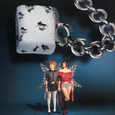 40% by The Army, The Navy - album cover